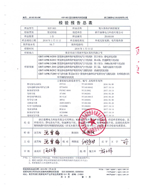 綜保檢驗(yàn)報(bào)告總結(jié)3